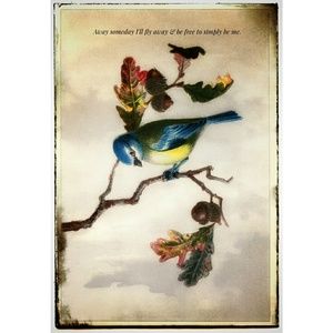 Meet your Posher, Mel